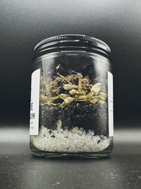 EVOLVE - Ritual Bath Soak