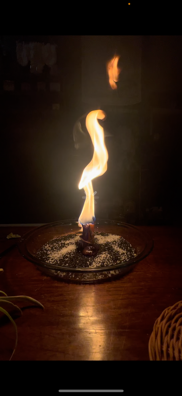 House Spells